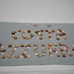 Costa Azzurra Apartament