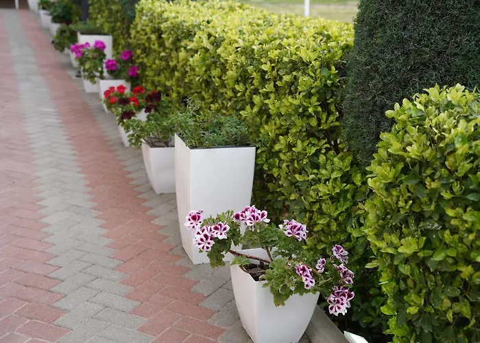 Costa Azzurra شقة